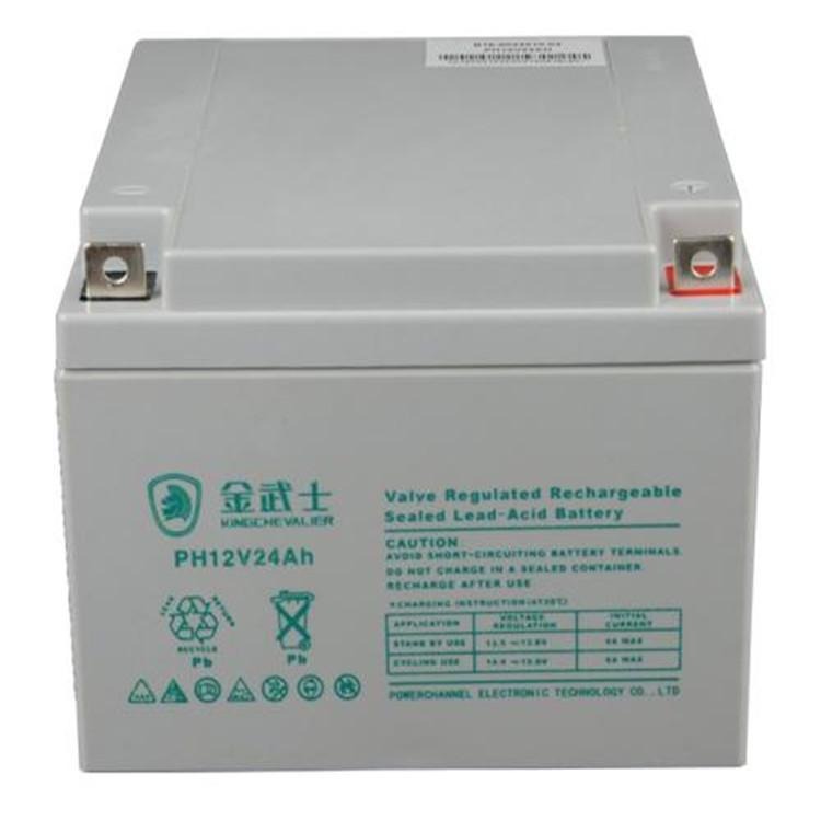 原装金武士蓄电池PH24-12 铅酸免维护12V24AH直流屏UPS电源专用蓄电池 厂家直销