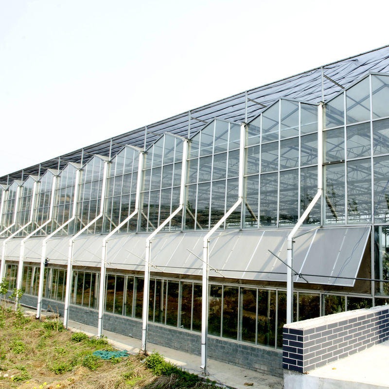 博伟 玻璃温室 简易玻璃温室 盆景玻璃大棚报价