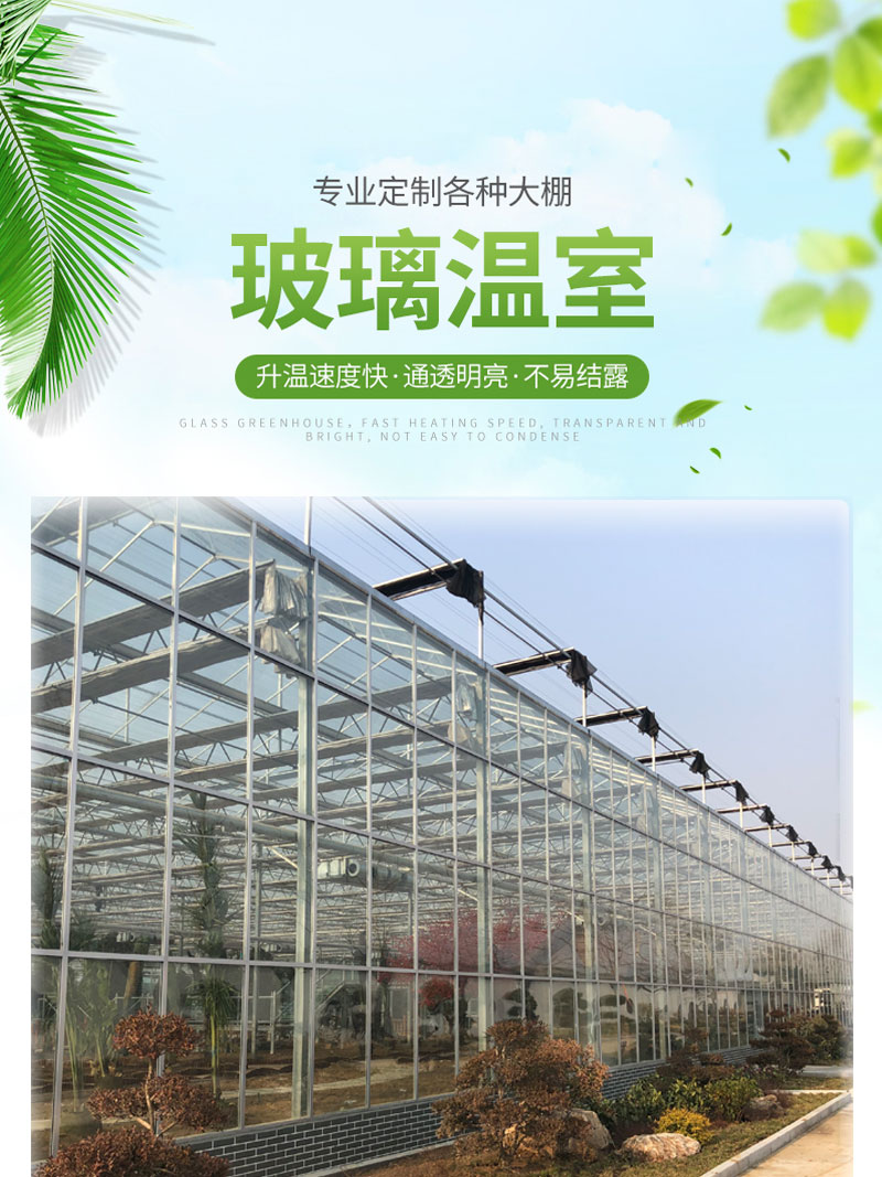 承建新型农业玻璃温室大棚 农业种植温室建设 玻璃花卉温室格润承建示例图1