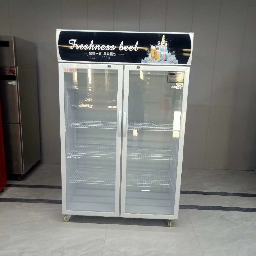 郑州饮料柜   超市饮料柜  冷藏啤酒柜· 未来雪冷柜 WLX-YLG05