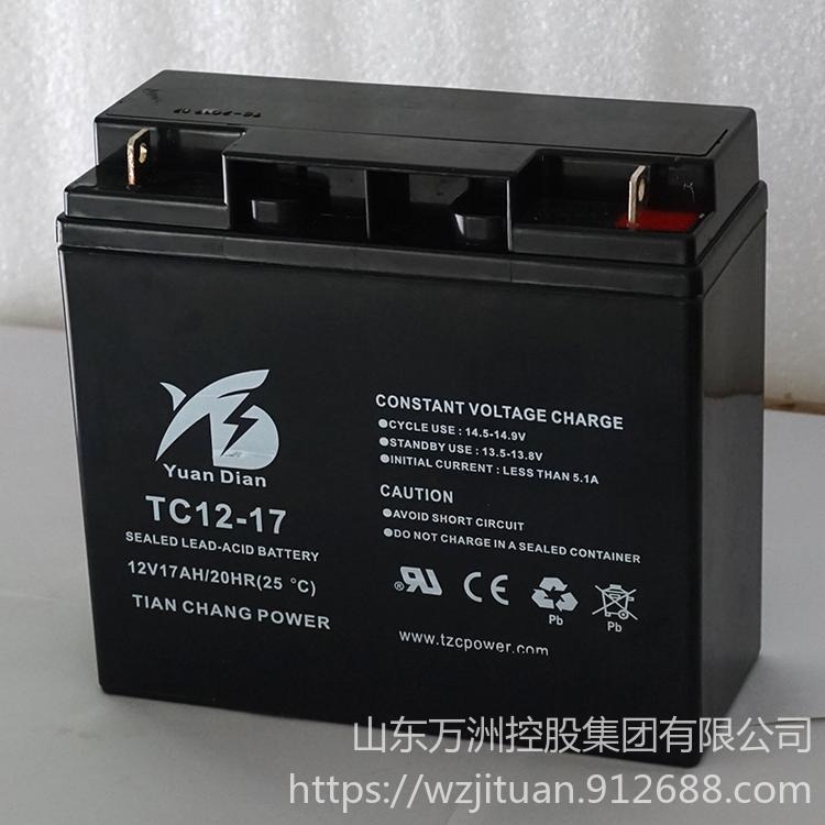 天畅蓄电池TC12-17 天畅12V17AH 直流屏UPS电源配套蓄电池 铅酸蓄电池 批发价格