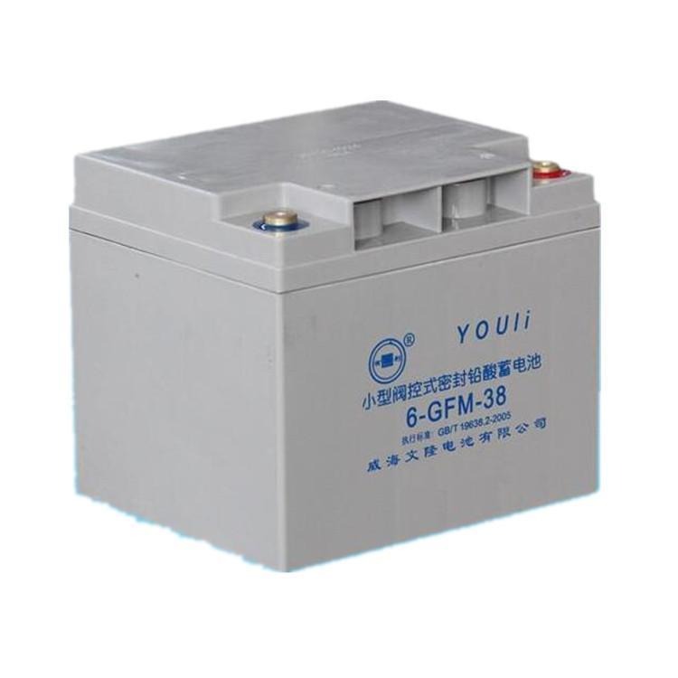 YOULI有利蓄电池6-GFM-38 有利蓄电池12V38AH 阀控式免维护蓄电池 质保三年