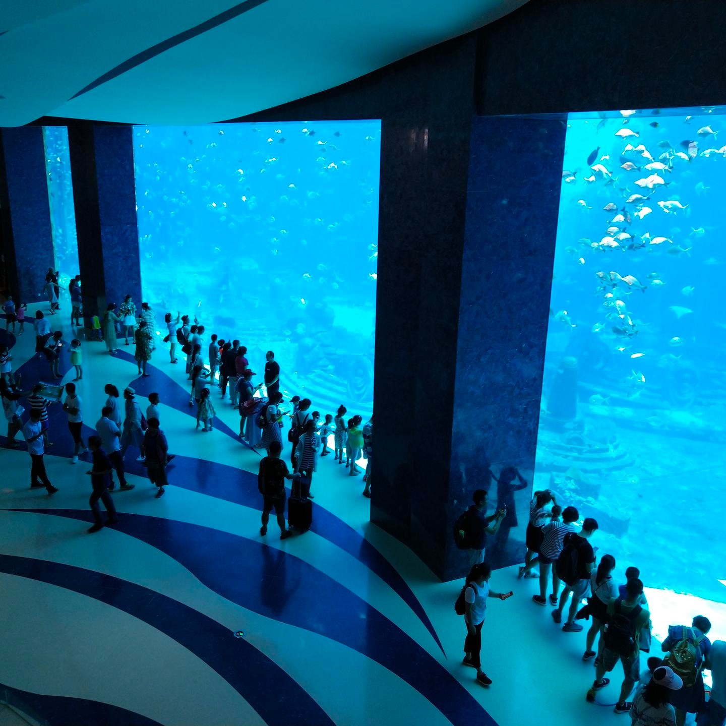 lanhu海洋馆设计隧道造景 亚克力海底隧道 海洋馆系统设计 海洋馆餐厅建设