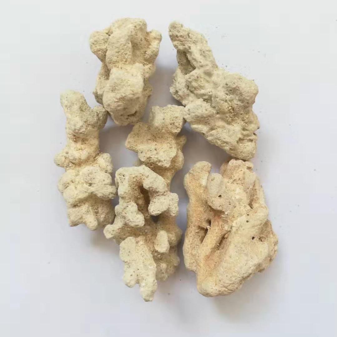 水族馆珊瑚石 珊瑚骨 白色珊瑚沙 现货供应 免费拿样图片