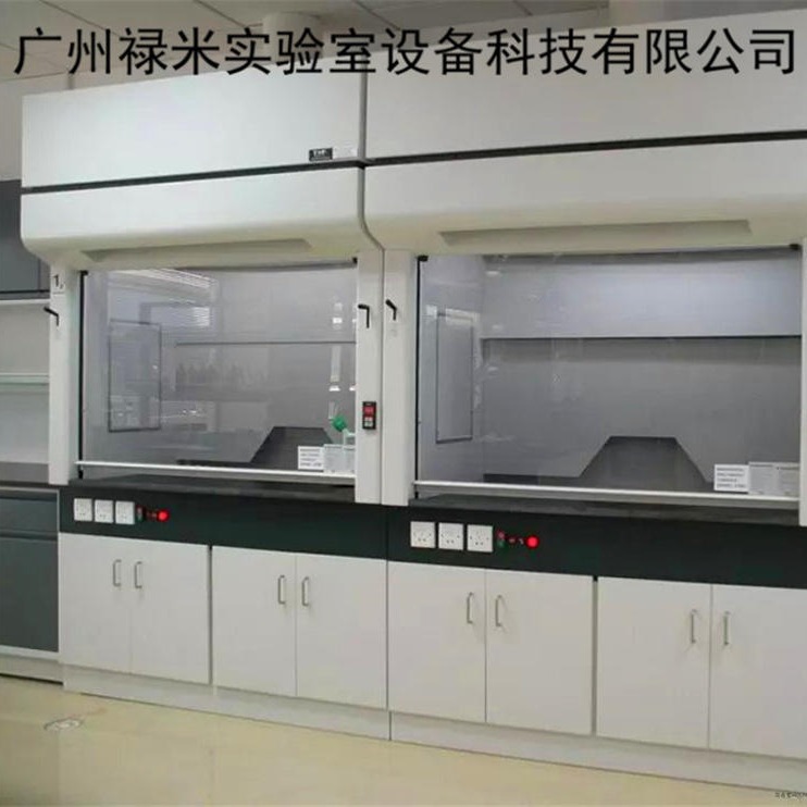 实验室桌上型 整体型 全钢通风柜 防腐通风橱 抽风柜排风 禄米实验室家具LM-TFG1236