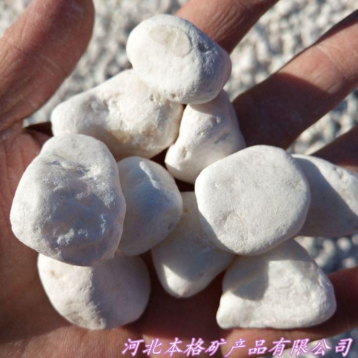 白色鹅卵石 汉白玉石子 汉白玉鹅卵石 原生态白色石头 厂家批发图片