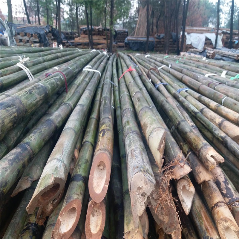 大量批发6米7米8米9米长竹竿 大棚竹竿
