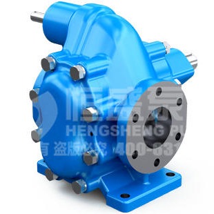 齿轮油泵 KCB齿轮泵 配直流电机齿轮泵CHY18/0.36-45余年实力厂家-恒盛泵业