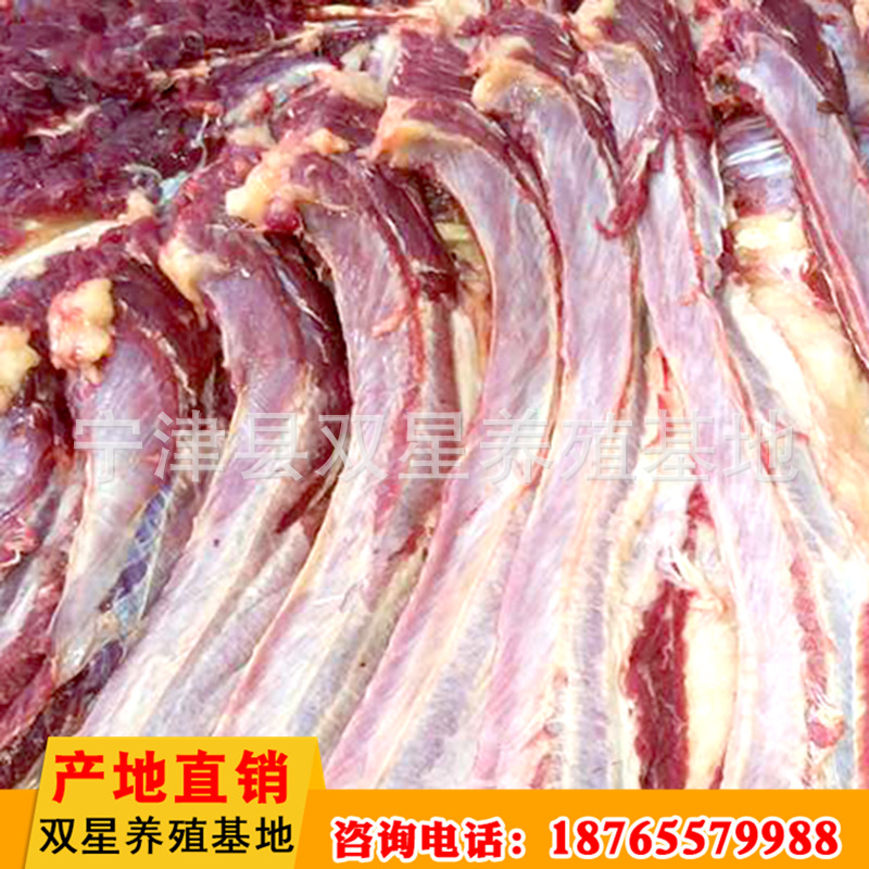 直销鲜马肉 新鲜营养肋条肉 低温储藏运输肉质鲜美马肉批发示例图1