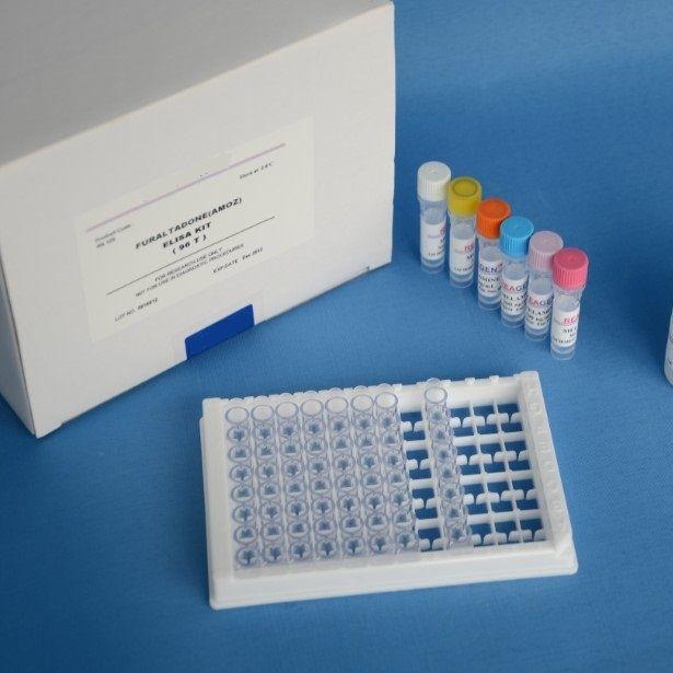 人基孔肯雅病毒试剂盒 CHIKV试剂盒 基孔肯雅病毒ELISA试剂盒图片
