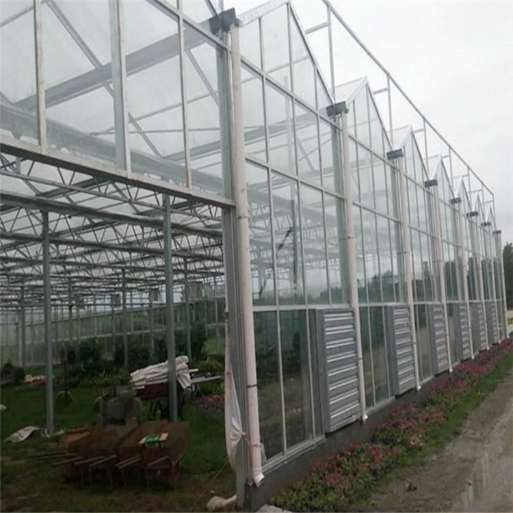 博伟 花卉智能玻璃温室 玻璃温室 蔬菜玻璃温室大棚