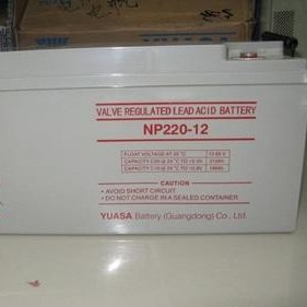 汤浅蓄电池NP220-12 汤浅蓄电池12V220AH 铅酸免维护蓄电池 汤浅蓄电池厂家 UPS专用蓄电池