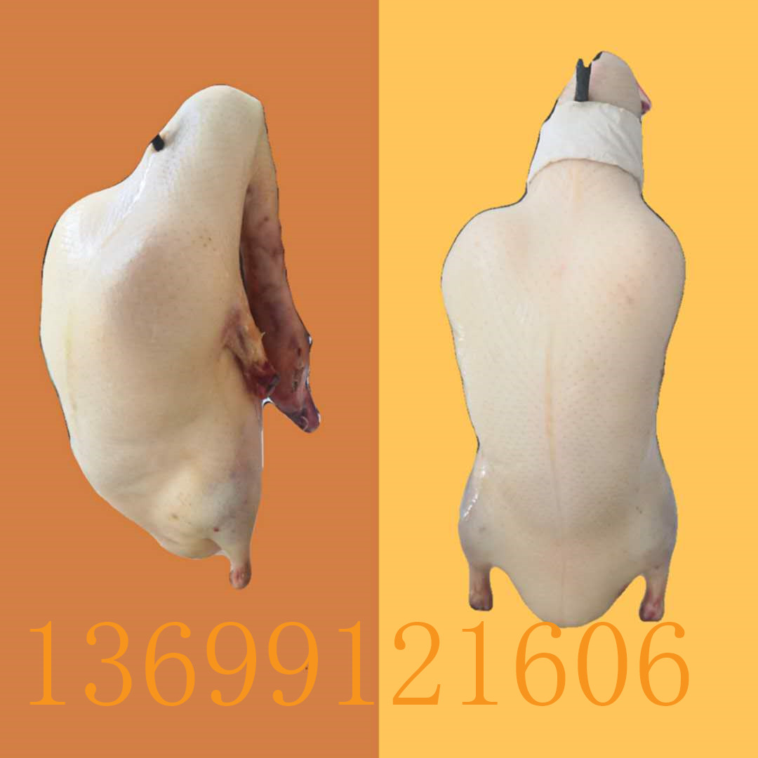 厂家直销冷冻四系鸭胚北京填鸭坯4.5斤