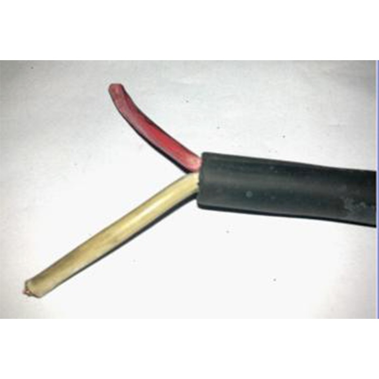 橡套电缆 重型屏蔽橡套耐磨损抗油污户外耐候软电缆 YCWP 2x1.5 450/750v 促销全国包邮