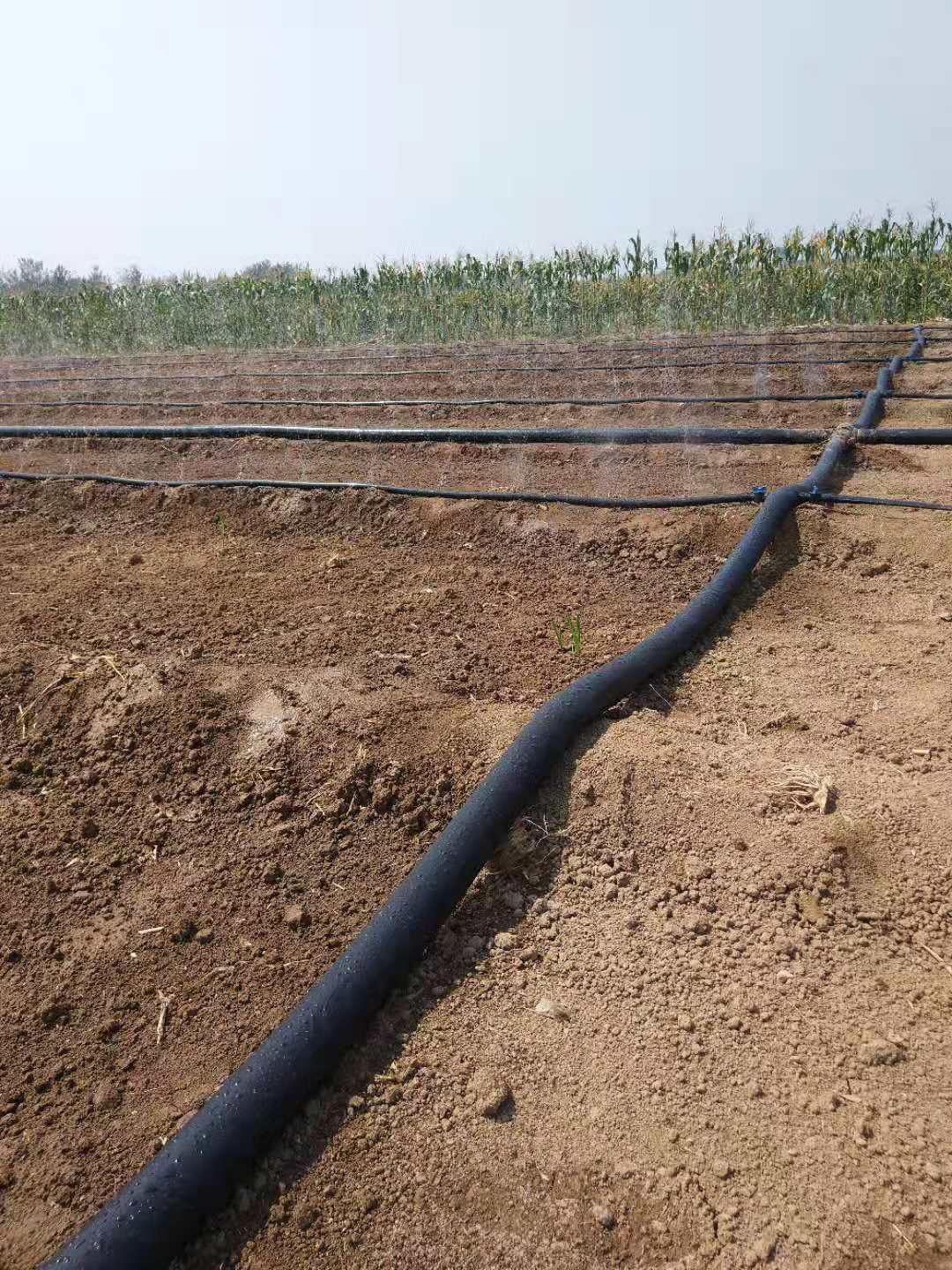 农田灌溉用洒水带子 喷灌带微喷带厂家直供示例图4