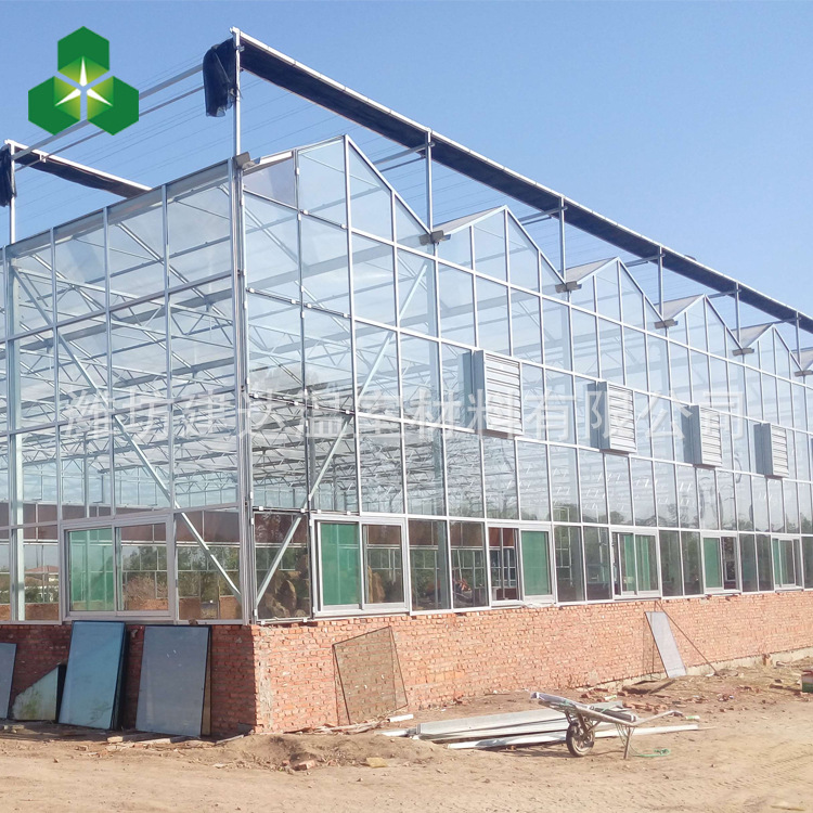 厂家直销温室蔬菜大棚 定制加工蔬菜玻璃温室 潍坊玻璃温室示例图5