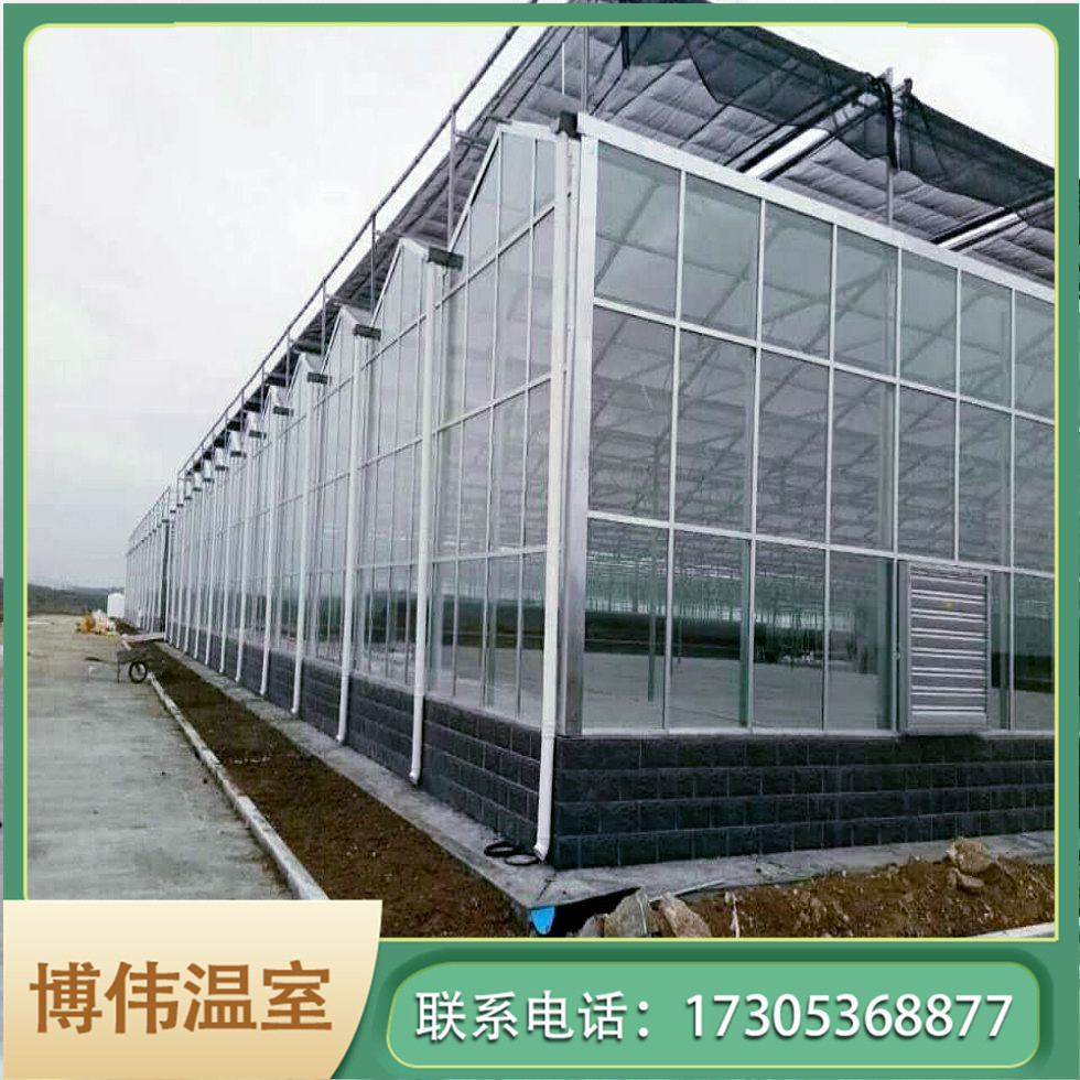 玻璃智能温室工程 四季蔬菜大棚 温室连体大棚 博伟 BW