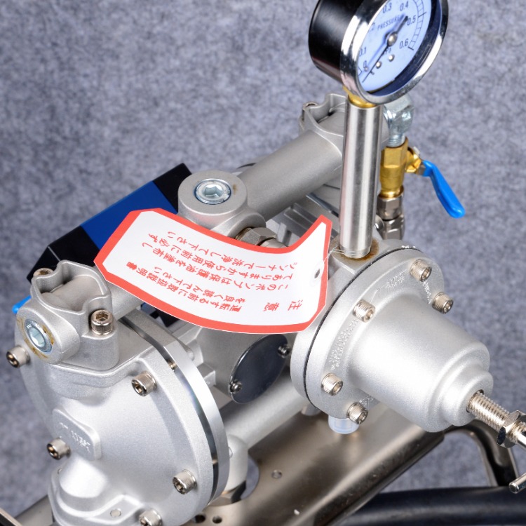 日本岩田DPS-120B气动隔膜泵 油漆泵DPS-120B 喷漆泵厂家 气动隔膜泵批发