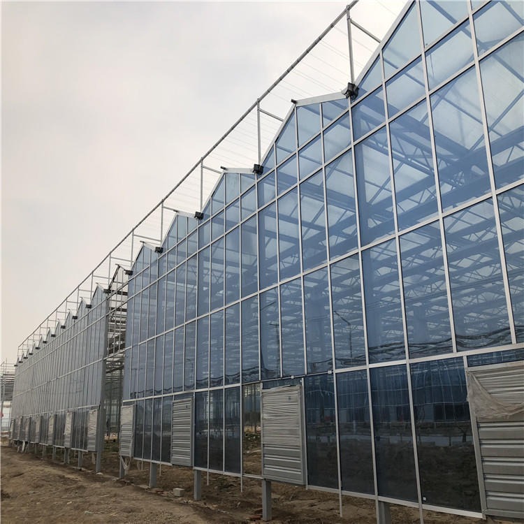 玻璃温室建设 农业观光生态温室 生态温室 博伟