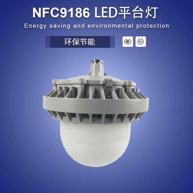 NFC9186室内外LED泛光灯 各类厂区车间场站平台灯  配电室主厂房壁挂式吸顶灯