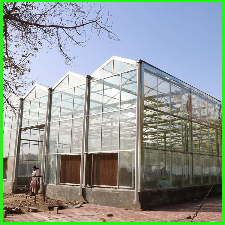 新型智能玻璃温室大棚 玻璃温室建设 玻璃温室建设 嘉诺温室厂家直供