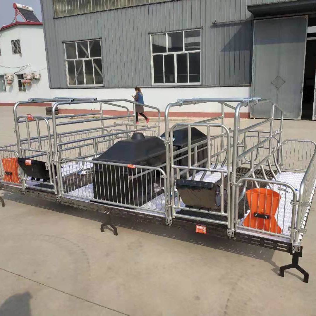 世昌畜牧 母猪产床设备配件 养猪设备配件 泊头母猪产床 焊接栏 养猪设备图片