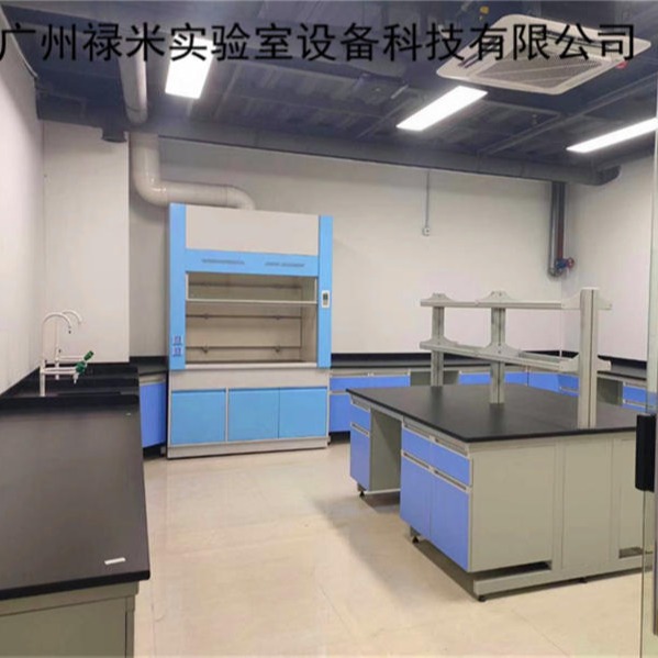 禄米 厂家定制 钢木实验台 边台  台 实验室家具LM-SYT33006