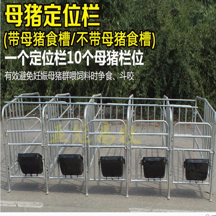 yaguan供应养猪设备厂家，亚冠YG-DWL，母猪定位栏，安全可靠
