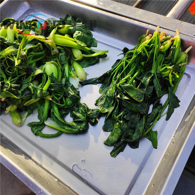 金针菇漂烫杀青机 华邦机械蔬菜漂烫机 加热方式可定制