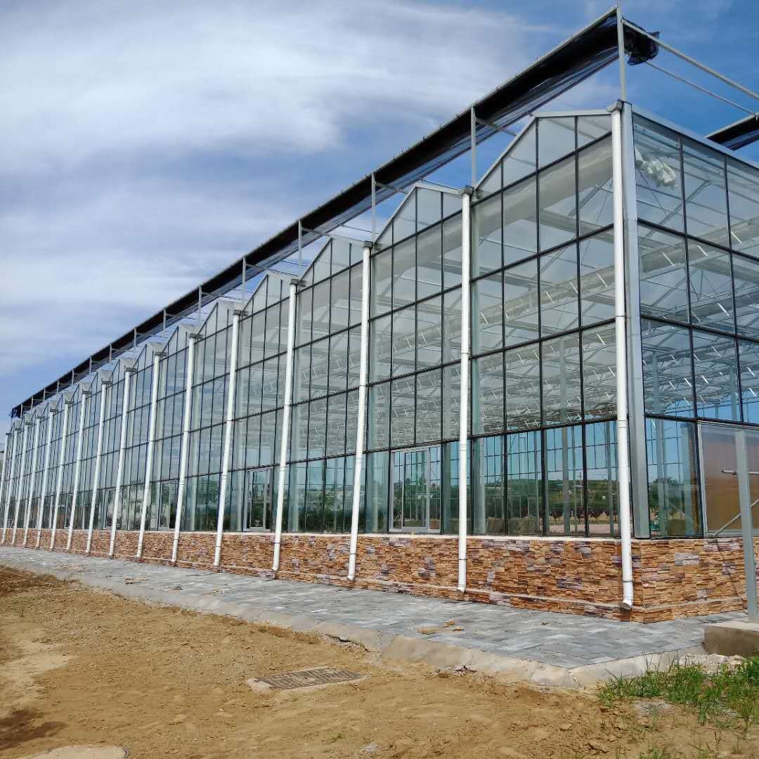 博伟 玻璃温室 盆景玻璃大棚 智能玻璃温室大棚安装
