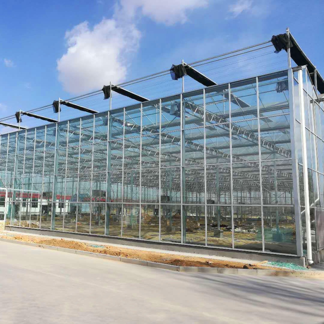中控玻璃温室大棚 青州玻璃温室 育苗玻璃温室 博伟