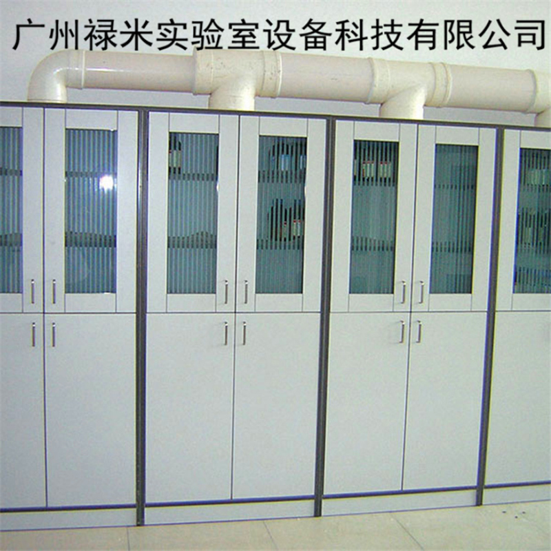 禄米实验室   化学实验室全钢排风试剂柜厂家  禄米实验室承接家具，装修工程LUMI-SJG1561