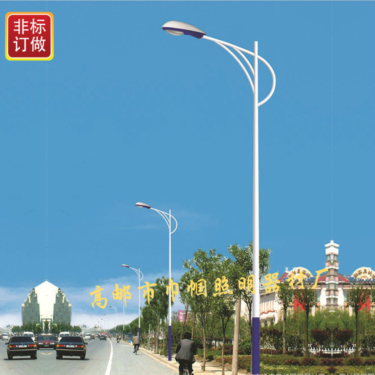 厂家供应10米道路照明灯杆 10米高邮灯杆生产厂家 防腐质保