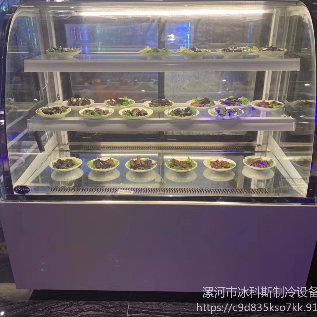 台式小型蛋糕柜 0.9米弧形后开门展示柜 商用水果冷藏展示柜 烘培设备  工厂直供 未来雪冷柜WLX-DGG-117图片