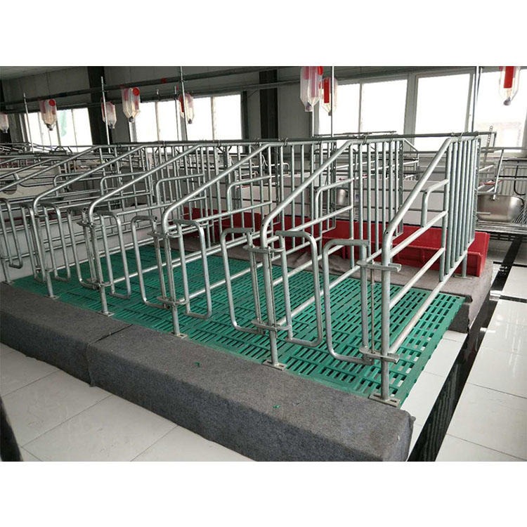 广西柳州辉煌养殖设备生产厂家，母猪定位栏厂家直销质优价廉，母猪定位栏尺寸母猪定位栏价格