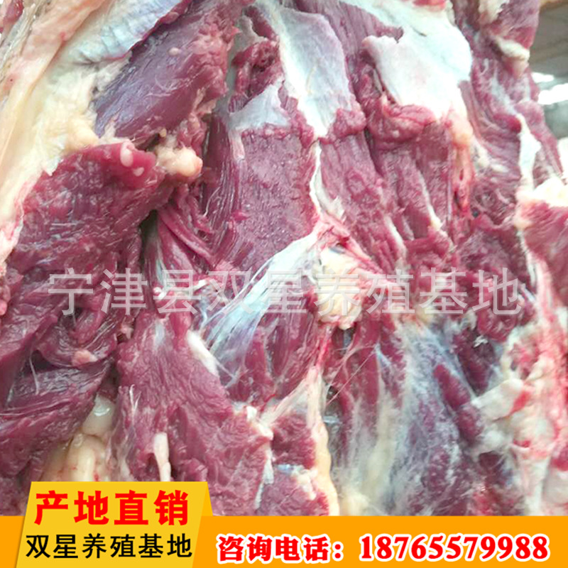 源头产地直销鲜马肉 厂家长期供应营养鲜马肉后腿肉量大从优示例图2