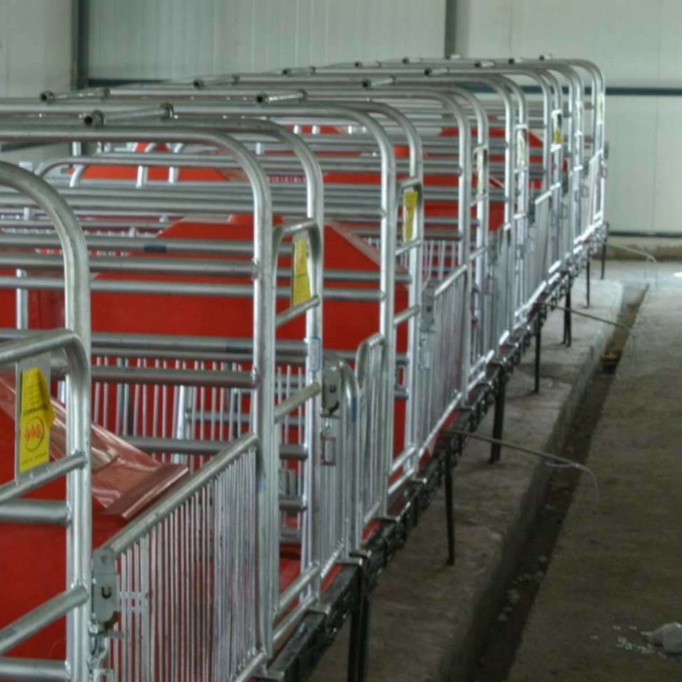 猪产床 70 养猪设备 母猪产床 厂家直销 新胜顺