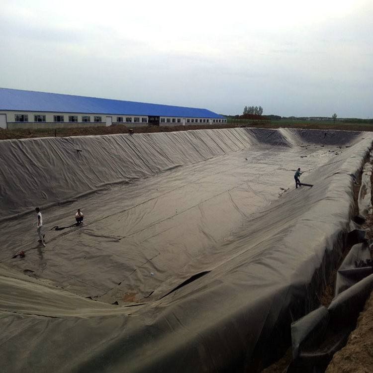 山东鼎诺HDPE土工膜垃圾填埋场专用质量保证厂家直销