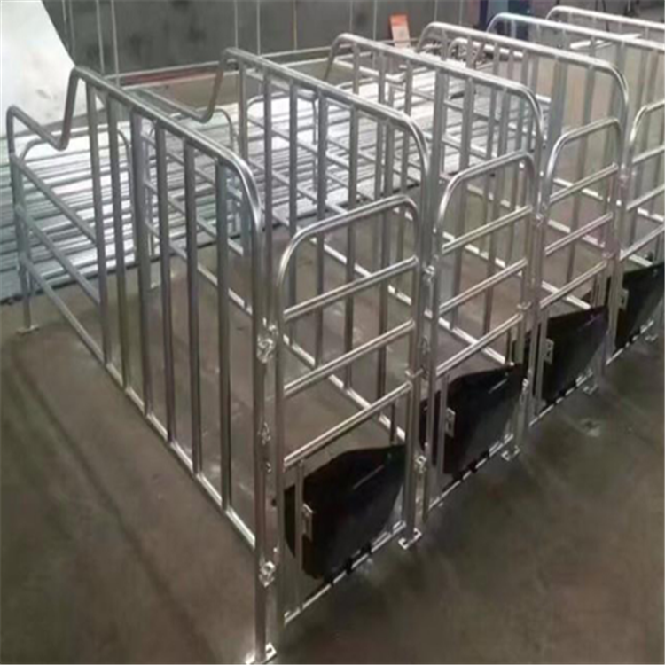 晟坤 母猪定位栏限位栏 安装地面母猪限位栏 生产批发