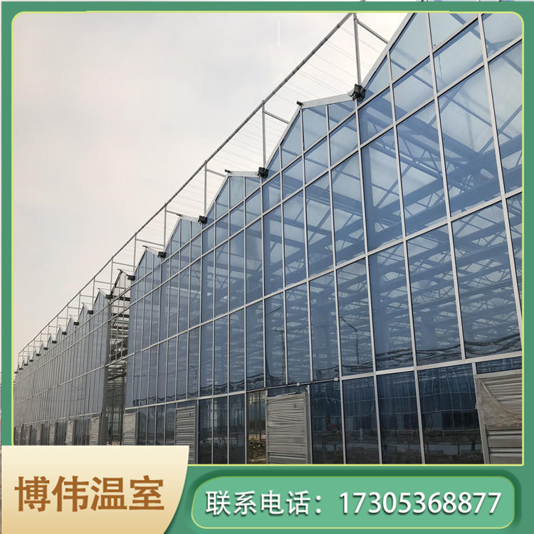 文洛型玻璃温室建设 可移动温室大棚 水果大棚 博伟 BW