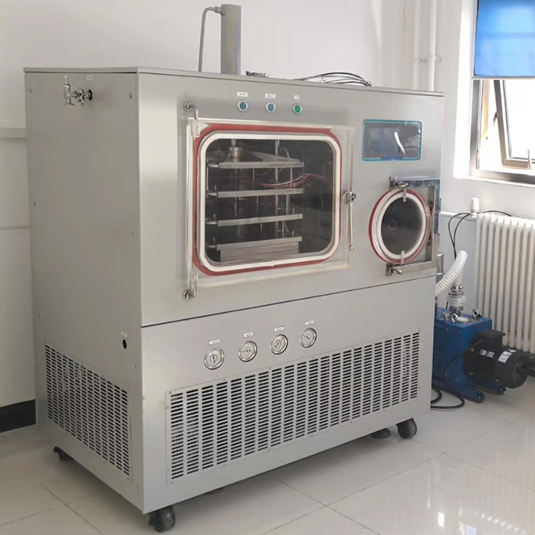 LGJ-50F中试冻干机 自动压盖冷冻干燥机 诊断试剂冻干机价格示例图3