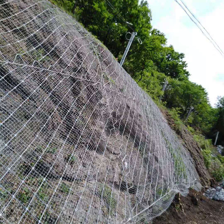 边坡防护网定制 铁路边坡防护网 昌邦 加筋边坡防护网 厂家供应