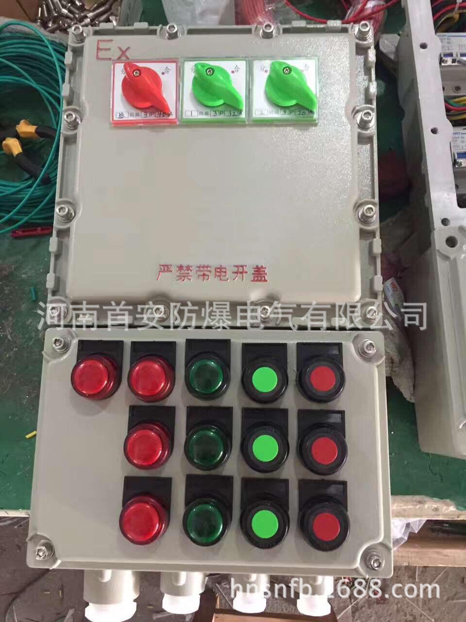 防爆温控箱 电伴热系统防爆控制箱 滁州防爆控制柜示例图10