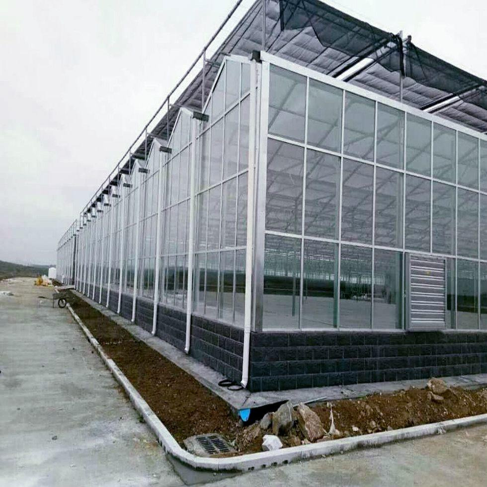 连栋玻璃大棚 智能连栋玻璃大棚 定制安装 连栋温室玻璃大棚