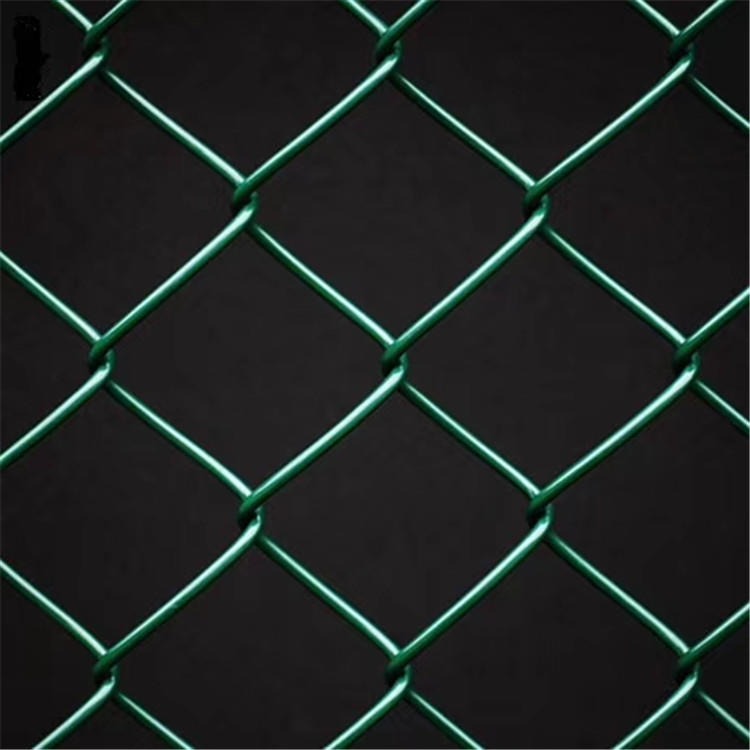 勾花网球场围网，编织包塑围网，绿色pe围网，古道球场围网，河北围网厂家图片