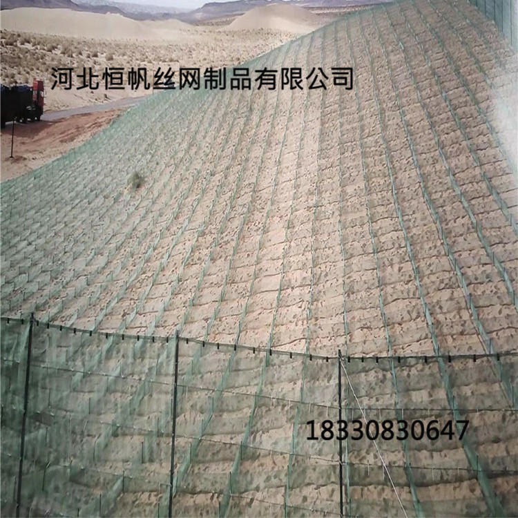 高立式阻沙网栅栏 新疆14目防沙网  新疆高立式阻沙网