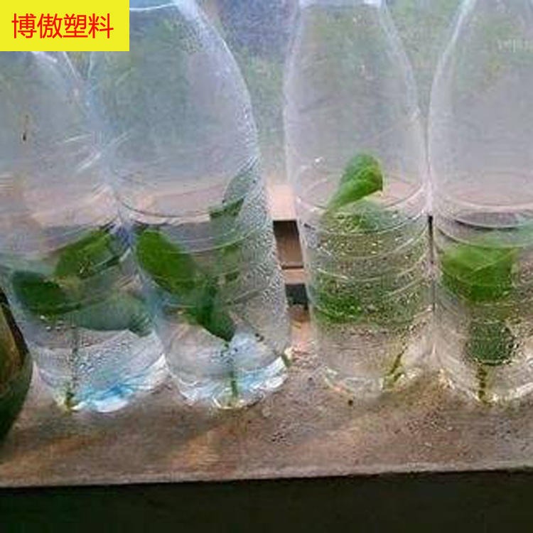 一次性矿泉水瓶子 塑料瓶批发 博傲塑料 塑料透明瓶子厂家