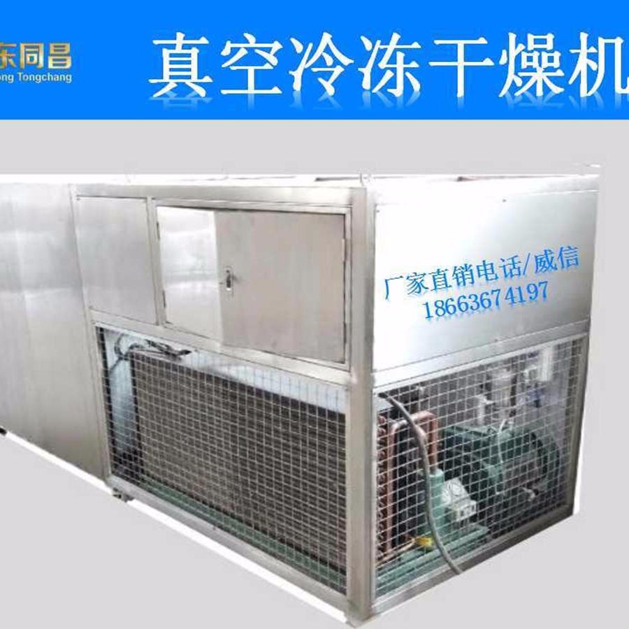 长期生产静态真空干燥机	原型真空冷冻干燥机	方型真空冻干设备机器