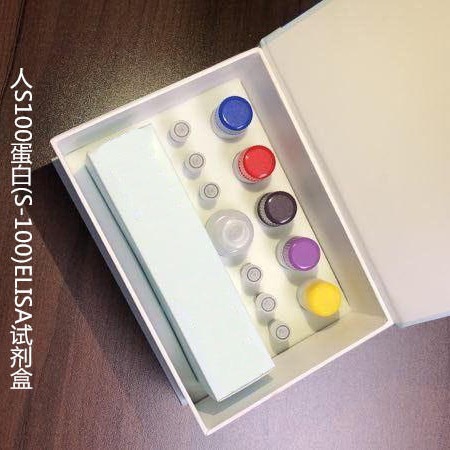 人S100蛋白(S-100)ELISA试剂盒  WSJH10165B  48T 维克奇图片