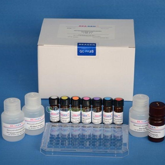 人黑色素细胞刺素试剂盒 MSH试剂盒 黑色素细胞刺素ELISA试剂盒
